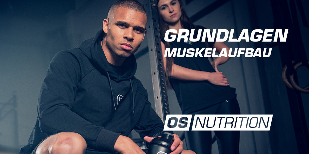Grundlagen zum Muskelaufbau