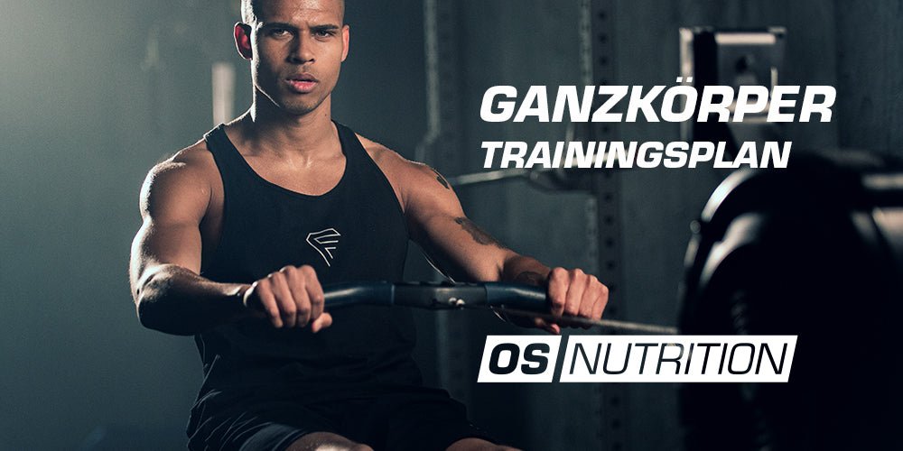 Ganzkörper-Trainingsplan für den Muskelaufbau
